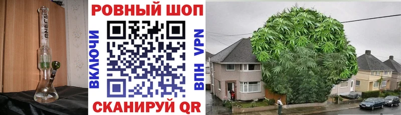 Где можно купить наркотики Кедровый Марихуана Меф мяу мяу МЕГА зеркало Гашиш
