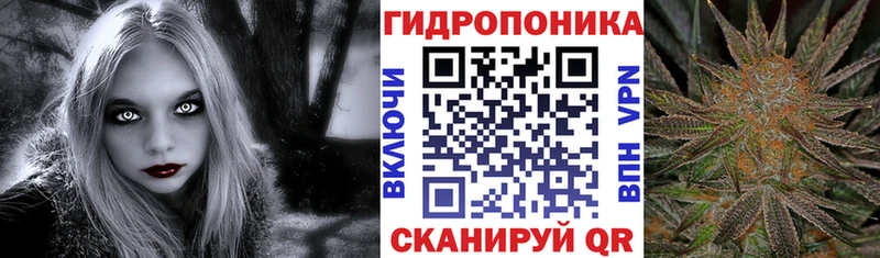 kraken ССЫЛКА  Кедровый  Конопля планчик 